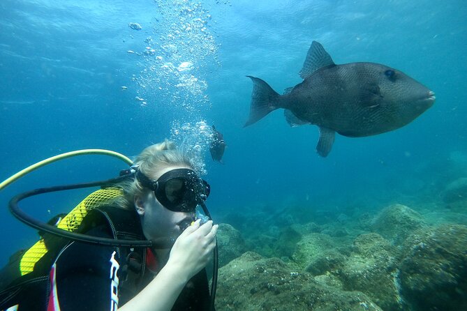Discover Scuba Diving - Booking Information