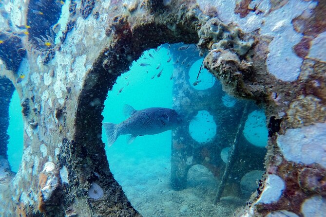 Discover Scuba Diving in Koh Rong - Cancellation Policy