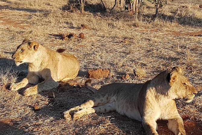 Discover Victoria Falls - Tour Details and Itinerary