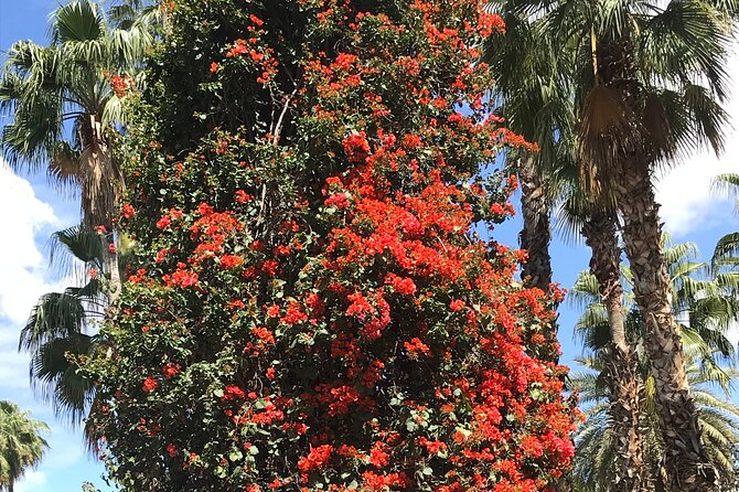 Discovery of the Wonders of Marrakech: Guided Tour - Exploring Marrakech Highlights