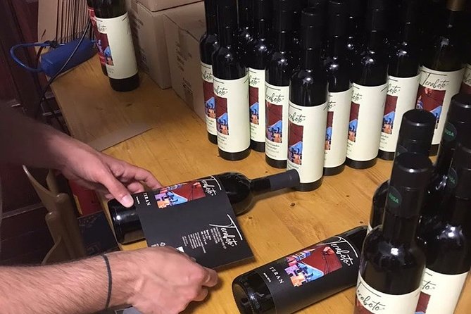 Divine Wine & Olive Oil Tasting in Istria Full-day Tour - Tour Experience