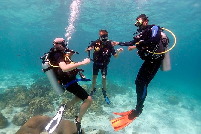 Diving Full Day For Beginners Boat Trip 2 Stops Diving and Lunch – Marsa Alam - Cancellation Policy