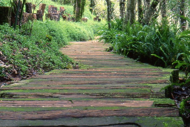 Doi Tung & Royal Villa - Flexible Booking Options