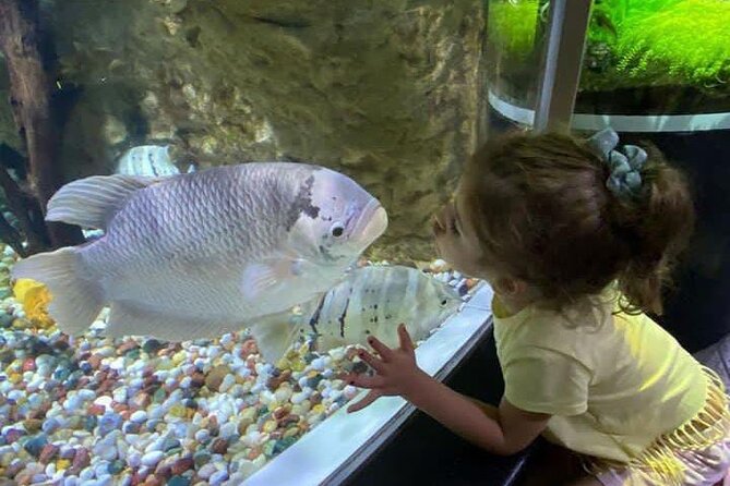 Dubai Aquarium and Underwater Zoo Tickets - Additional Information