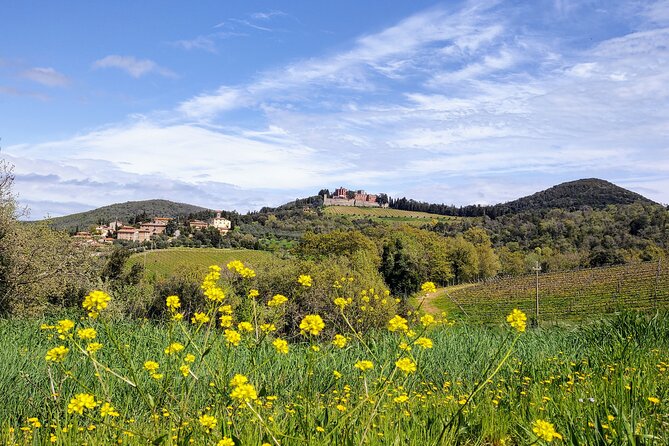 E-Bike Tour: Explore the Chianti, Its Enogastronomy and Castles - Castle Exploration