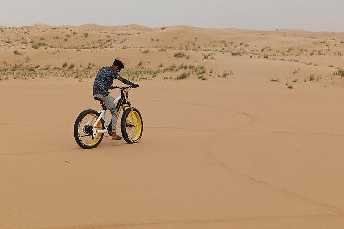 Electric Fat Bike Desert Experience in Dubai - Pricing and Booking