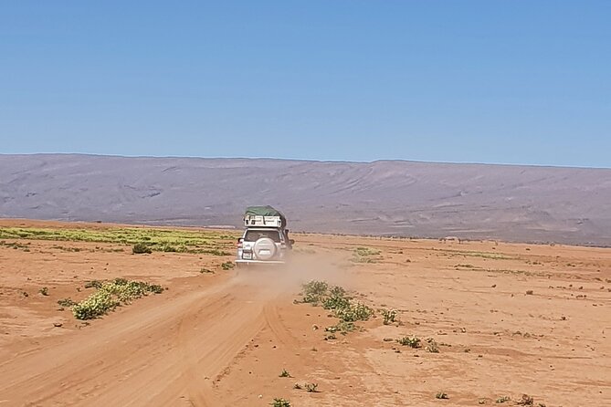 Erg Chegaga Desert Trip From Agadir in 05 Days Return - Participant Requirements and Accessibility