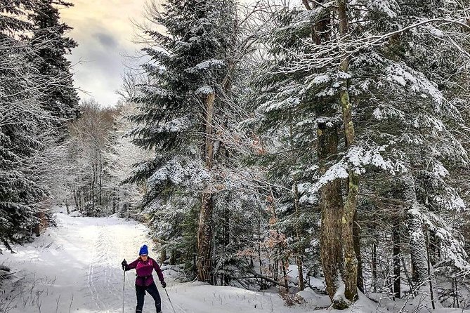 Escape to the Peaks: 2-Day Adventure in Bohemia National Park - Booking and Pricing