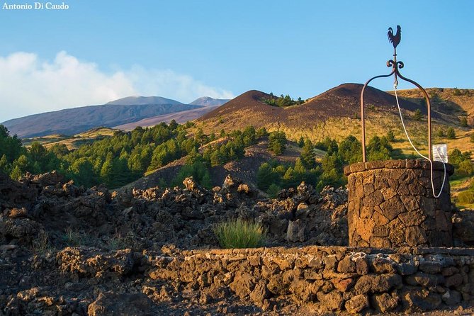 Etna Trekking Private Day Tour With Options - Additional Options and Services