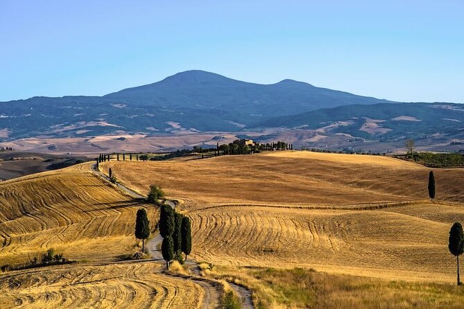 Etruscans, Pitigliano and Wine Tasting Private Tour - Guarantee and Cancellation Policy