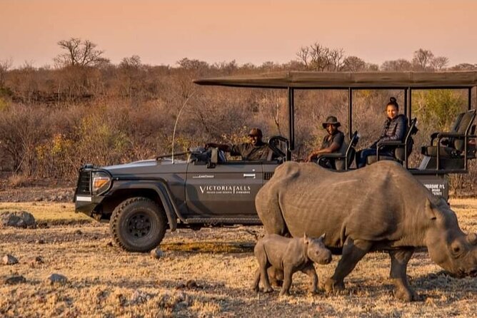 Evening Game Drive With Bush Dinner - Event Overview