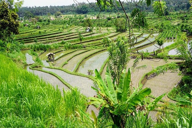 Exciting Trip in Bali in Two Days - Important Directions