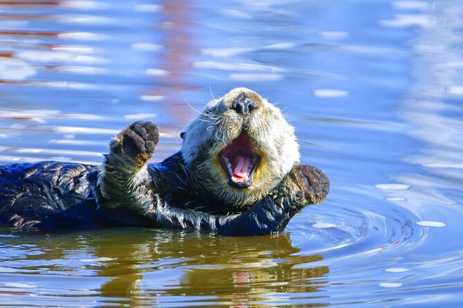 Exclusive Private Tours: Customizable 1-7 Day Scottish Adventures - Pricing Information