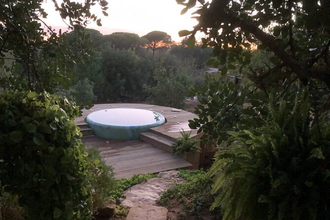 Exclusive Wine Tasting Experience in Porches (Algarve) - The Sum Up