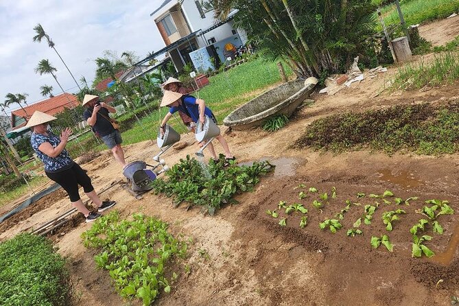 Experience the REAL LOCAL LIFE of HOI an People Depature From HOI an or DA NANG - Cultural Insight Discovery