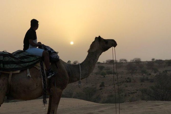 Explore Jaisalmer City Tour With Camel Safari - Meeting and Pickup