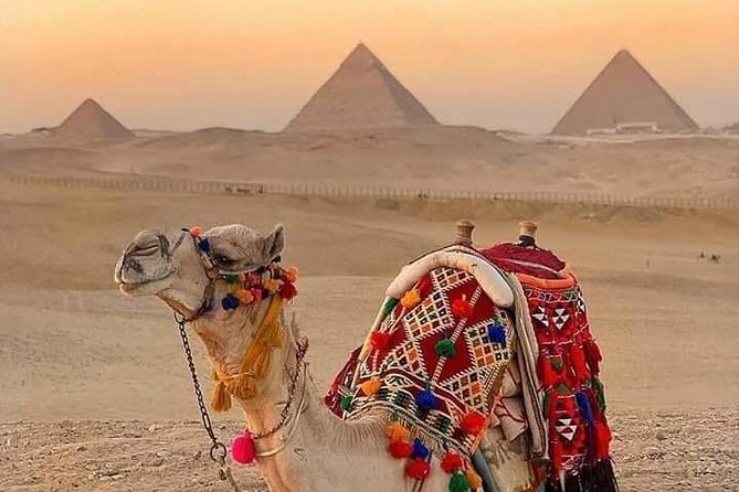 Explore the Pyramids Riding a Camel or Horse - Weather Considerations