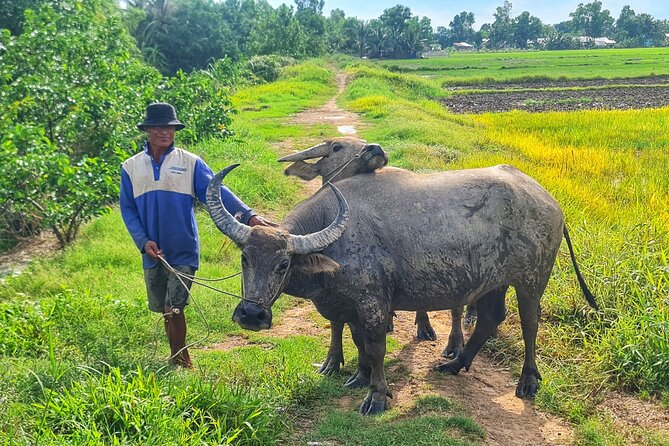 Explore U Minh Thuong Forests - Guided Tours