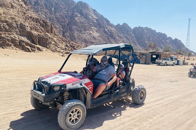 Family Car Buggy Sharm El Sheikh - What To Expect