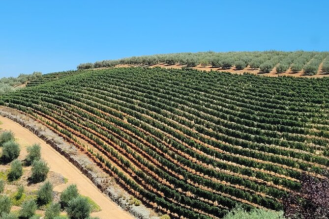 Franschhoek Wine Tram & Stellenbosch Town Full Day Tour - Booking Process