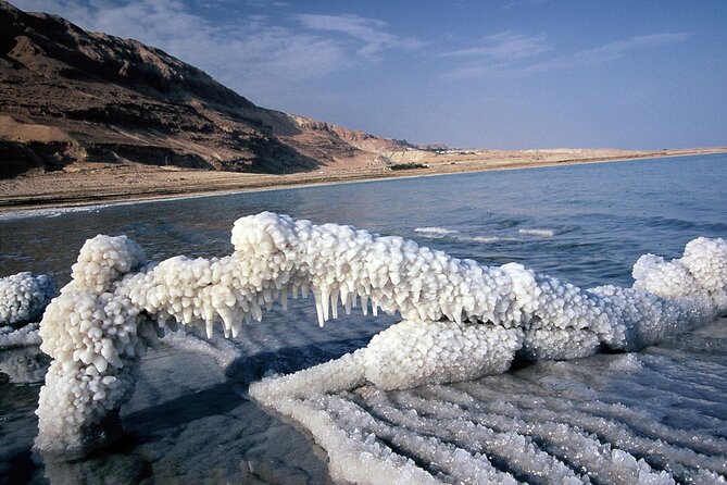 From Amman: Madaba ,Mount Nebo and Dead Sea With Hotel Pickup - Inclusions and Amenities