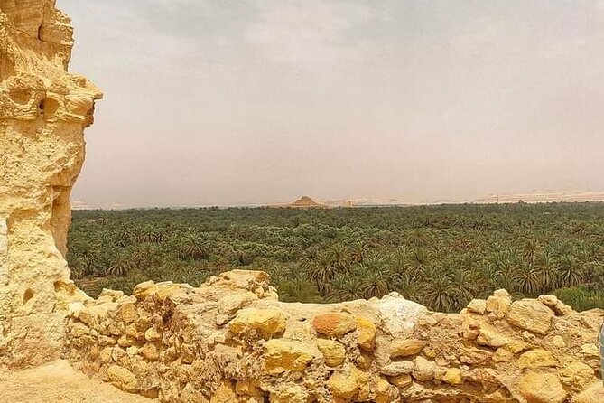 From Cairo to Siwa 2 Days One Night - Booking Details