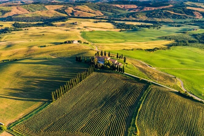 From Florence to Tuscany Winerys - Safety and Guidelines