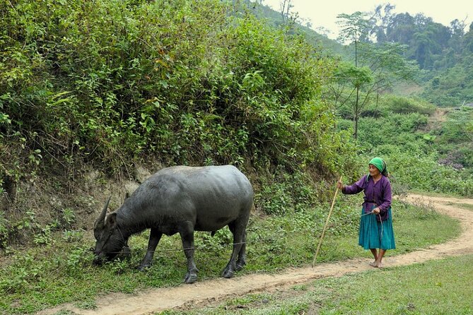 From Hanoi - Ba Be Lake to Halong Bay 6 Days 5 Nights - Restrictions