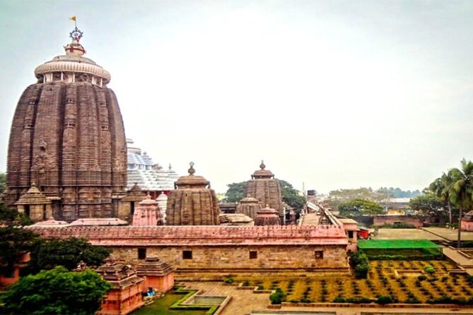 From Kolkata-All Inclusive Seranda Forest Elephant Corridor Tour - Pricing, Booking, and Guarantee