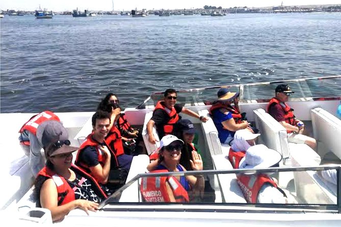From Lima: Full Day Paracas by Bus - The Sum Up