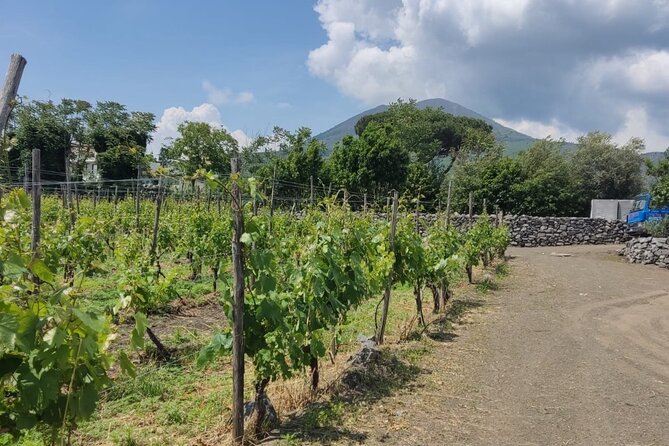 From Naples: Pompeii & Wine Tasting Private Day Tour - The Sum Up