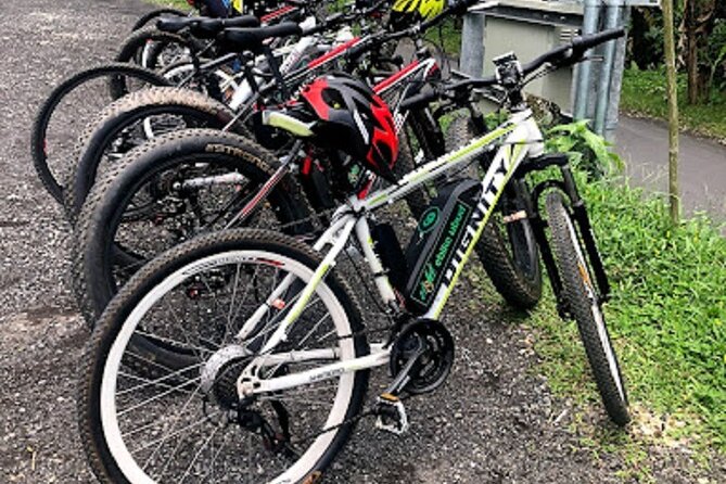From Ubud Electric Bike Bali Countryside Ubud Tegalalang - Booking and Cancellation Policy