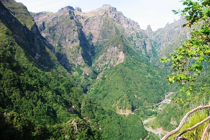 Full-Day Discovering Madeira in Off-Road Jeep Safari Guided Tour - Nearby Public Transportation and Location