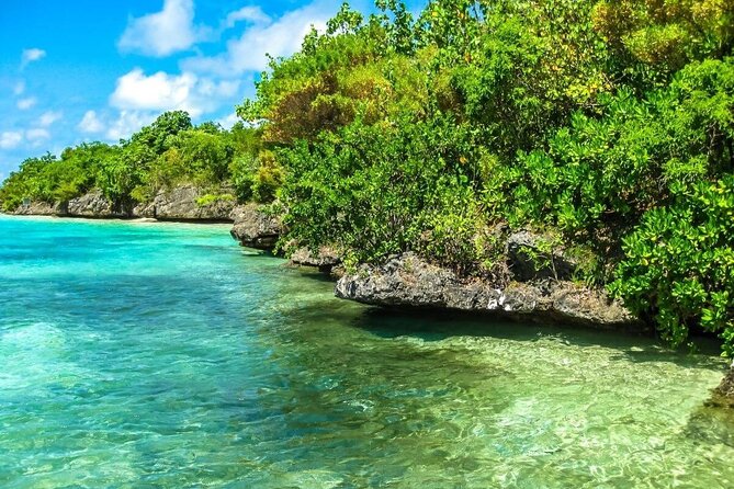 Full-Day East Coast Tour, ALL INCLUSIVE Day Trip, Private SUV Car With Guide - Operator Information