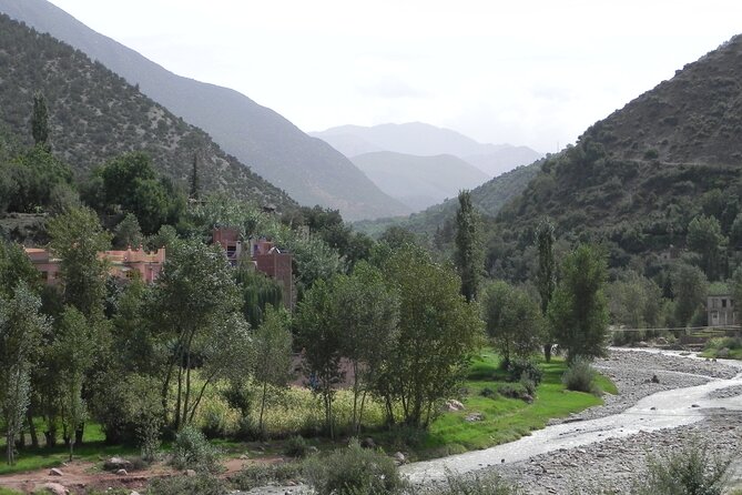 Full Day Excursion to Ourika Valley From Marrakech. - Local Culture Insights