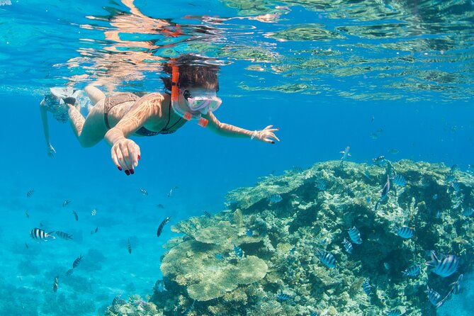 Full Day Experience in Marsa Mubarak With Diving and Lunch - Flexible Booking Options