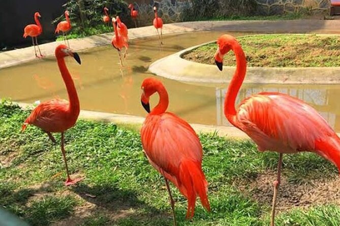 Full Day Exploration of Sapanca and Masukiye From Istanbul - Additional Costs