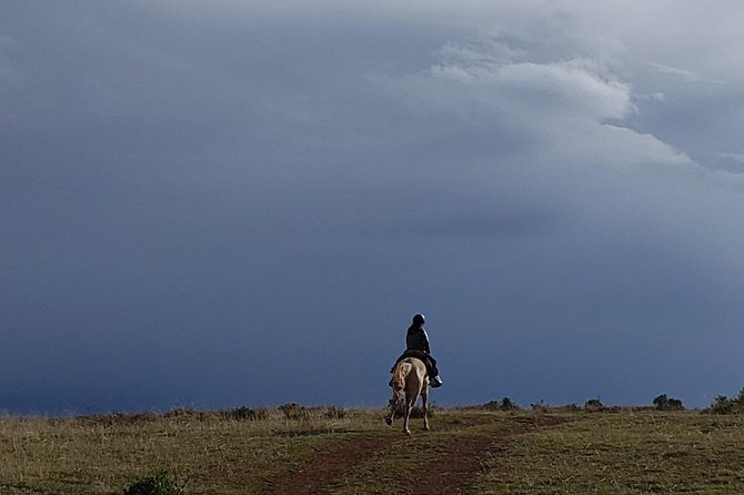 Full Day Horseback Riding Tour Around Cusco City - Meeting and Pickup Details