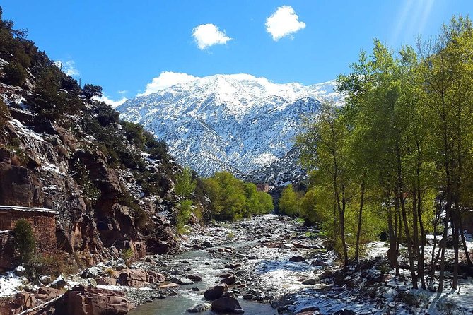 Full-Day Marrakech to Ourika Valley Private Tour With Pick up & Lunch - Cancellation Policy