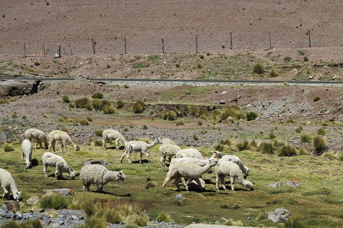 Full Day Private Road Trip Snowy Viewpoint Rajuntay + Route 7 Lagoons - Booking Information