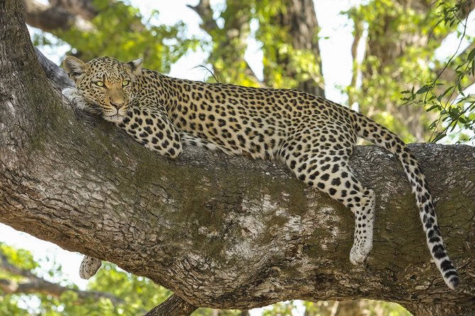Full Day Private Safari at Yala National Park by Yala La Safari Tours - Safety Guidelines