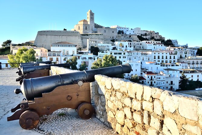 Full Day Private Shore Tour in Ibiza From Ibiza Cruise Port - Accessibility Information
