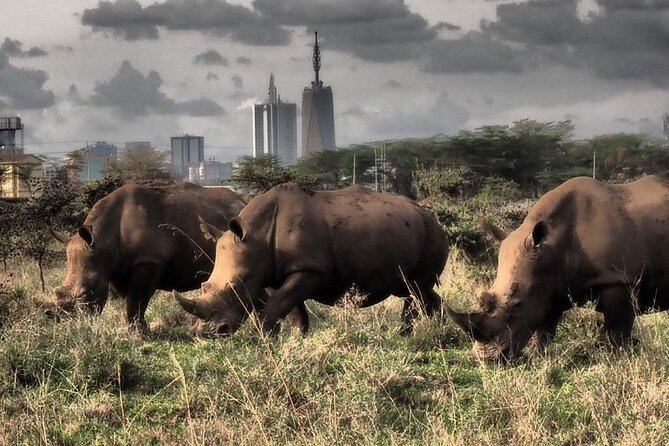 Full-Day Private Tour Nairobi National Park and Giraffe Center - Wildlife and Attractions