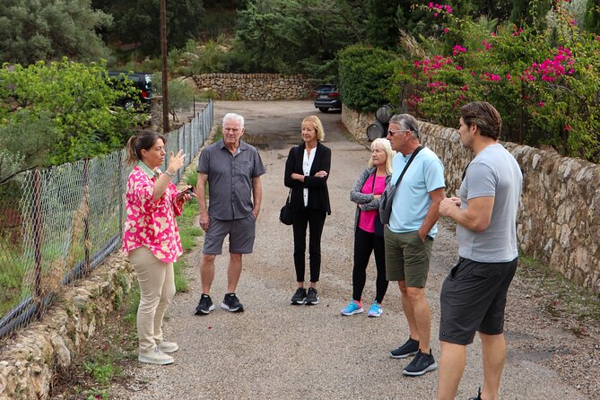 Full-Day Private Wine Tour to 3 Wineries in Mallorca - The Sum Up