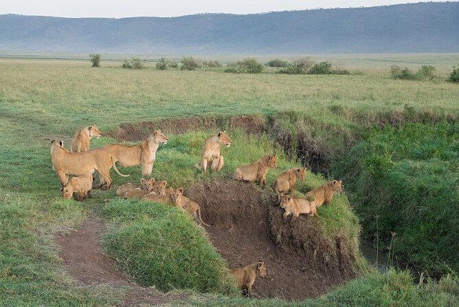 Full-Day Safari Tour to Ngorongoro Crater From Arusha - Flexible Reservation Policy