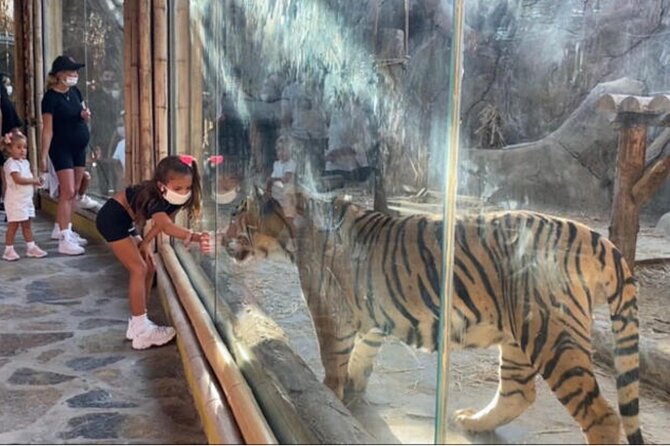 Full-Day Sapanca and MaşUkiye Tour With Lunch From Istanbul - Tour Itinerary