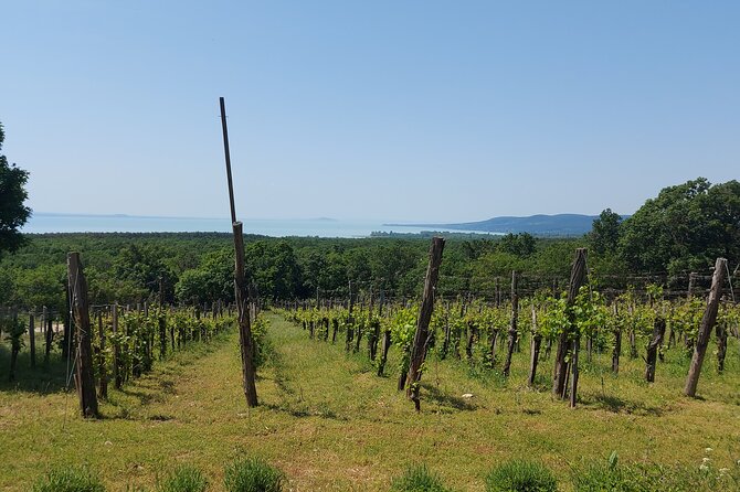 Full-Day Small Group Lake Balaton Wine Tour - Booking Instructions
