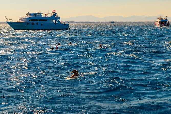 Full-Day Snorkeling Trip at Paradise Island in Egypt - Cancellation Policy Details