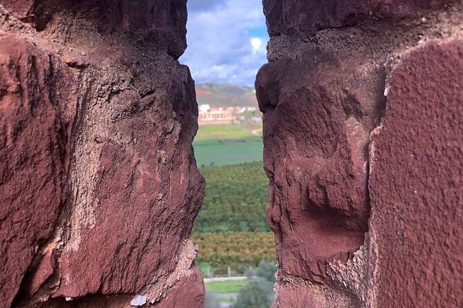 Full Day Tour in Silves With Wine Tasting - Reservation and Cancellation Policy