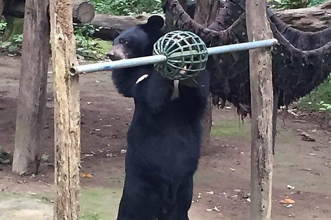 Full Day Tour of Elephant Conservation and Bear Rescue Center
